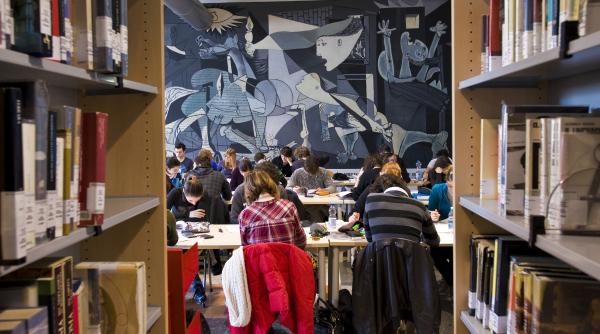 costuri studii facultate strainatate