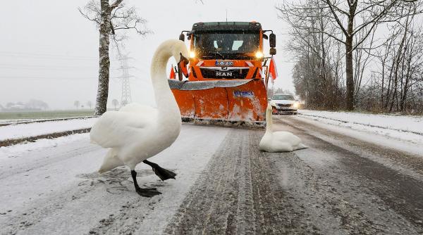 marea britanie ninsoare polei