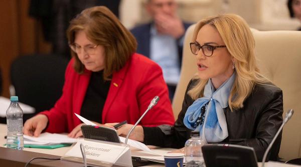 gabriela firea buget proiecte ministerul familiei