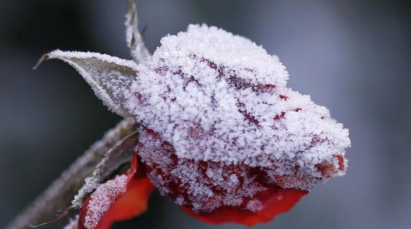val aer polar romania temperaturi minus duminica luni