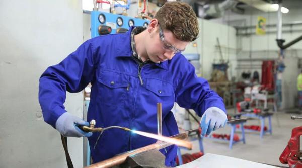 scoli profesionale absolventi analiza invatamant liceal