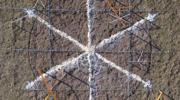 mic reprezentant al universului mnart open view muzeul national de arta din timisoara