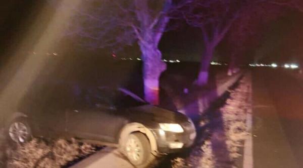 sofer alcoolemie control masina camp