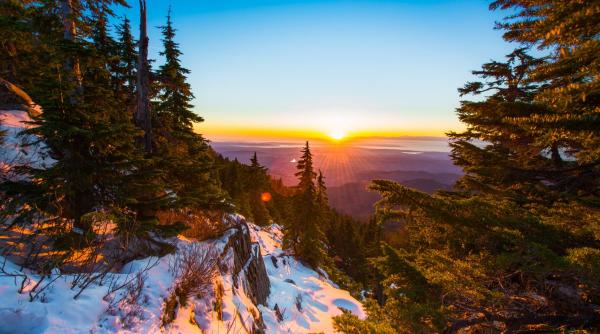 anotimpurile date peste cap vreme atipica in ianuarie 2023