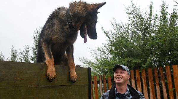 salvat tanar caine politist