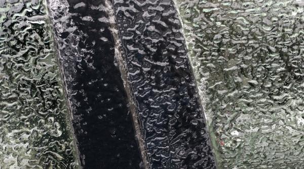 cod galben ceata polei burnita 31 decembrie 2022