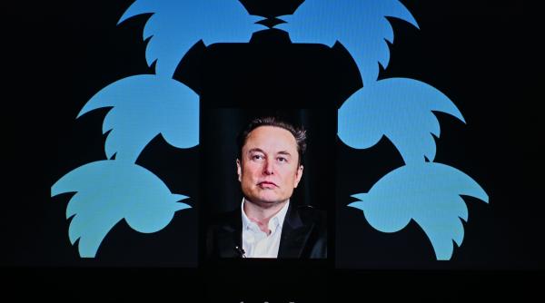 elon musk fratii tate