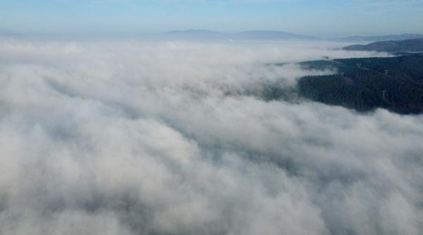 nowcasting cod galben ceata 6 judete