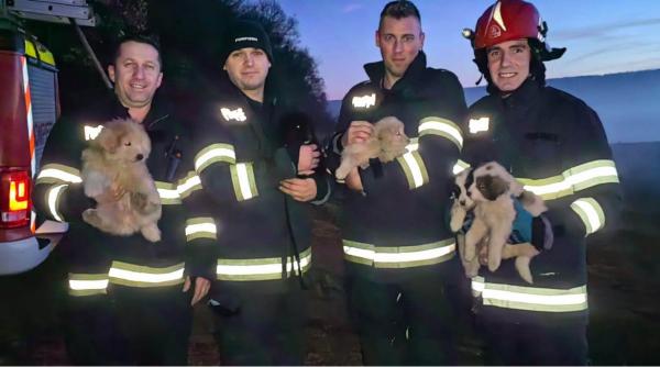 pompieri salvare catelusi padure cluj napoca