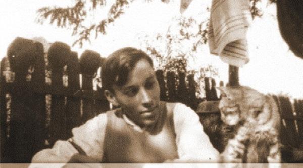 valjan pericle martinescu jacques g costin