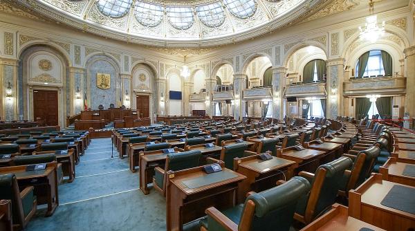 senat achizitii milioane lei