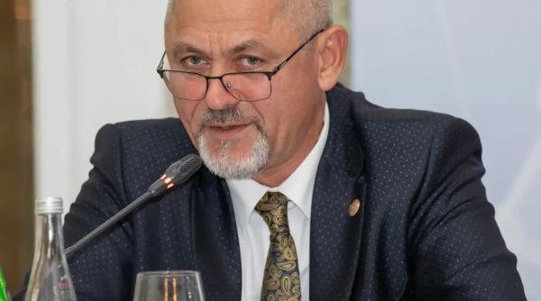 dumitru viorel focsa violenta domestica parlamentar