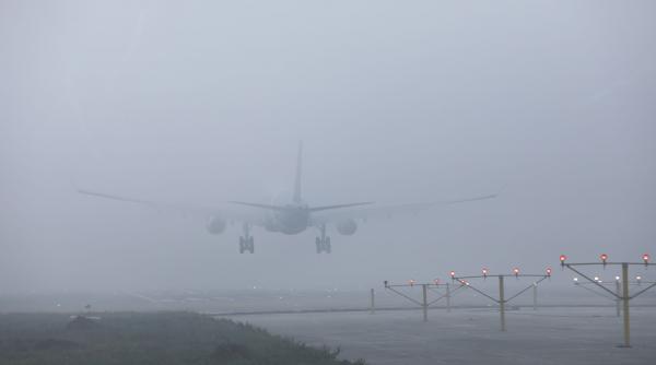 cod galben ceata polei