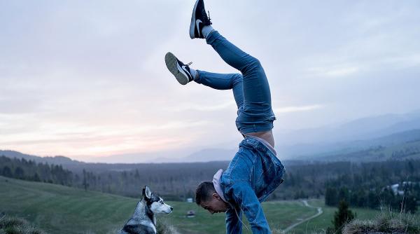 personalitate comportament teste reactii