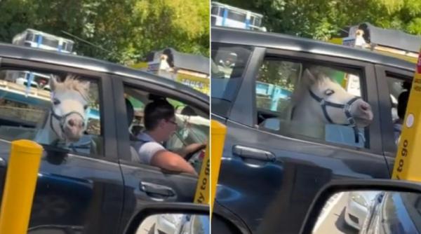 drive thru cal masina fast food inghetata