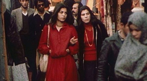 intre revolutii vlad petri