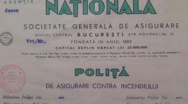 asiguratori economie companii profil proprietate stat