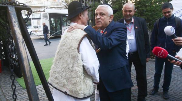 petre daea vaca dusman