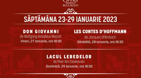 lacul lebedelor opera nationala bucuresti