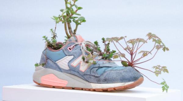 o noua editie art safari la orizont