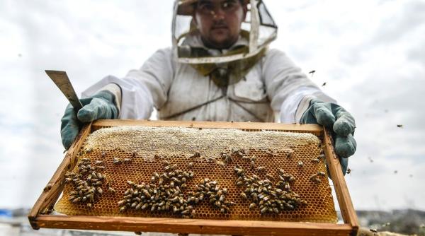 agricultura albine fermieri pesticide