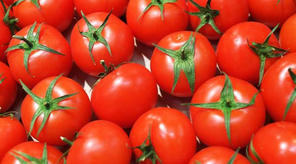 programul tomata 5 ani 1 miliard cheltuit