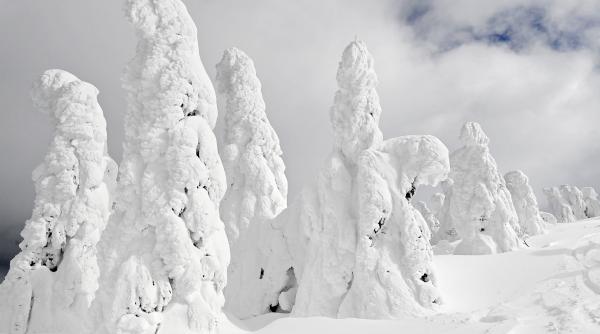 iarna cumplita japonia transporturi blocate