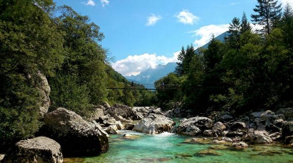 sfaturi utile vigneta slovenia 2023