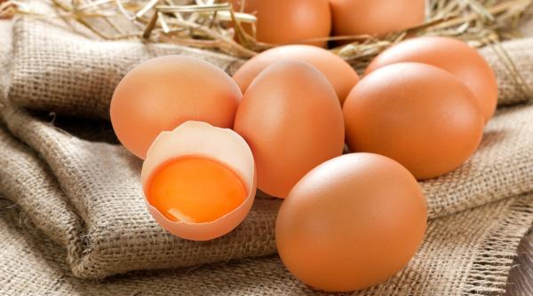 La Provincia își extinde portofoliul de produse, lansând prima gamă de ouă a brandului