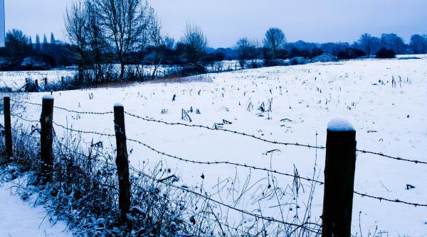 barbat gasit soacra moarta zapada camp hunedoara