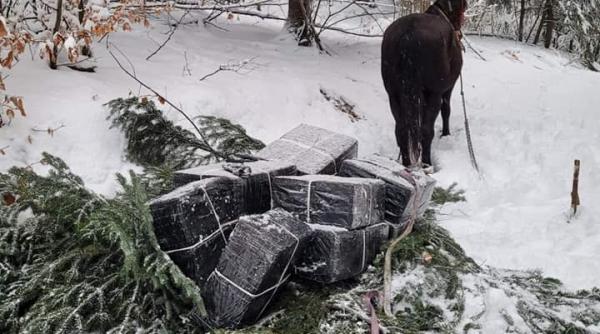 contrabanda tigari iarna cai crengi brad inlocuiesc drone elicoptere