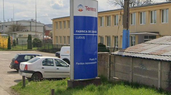 mihaela neagu cumparat fabrica zahar ludus tereos