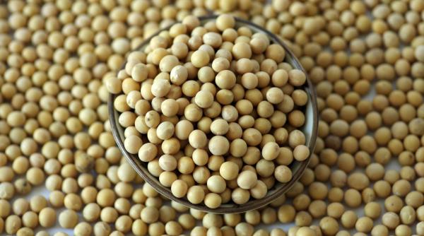 beneficii consum zilnic soia colesterol menopauza cancer