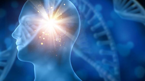 mintea umana niveluri perfectiune