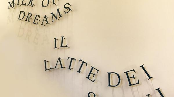 scemtovici benowitz gallery programul insideart