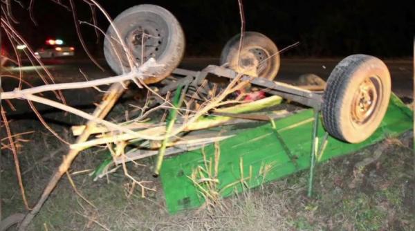 barbat mort caruta lemne dambovita