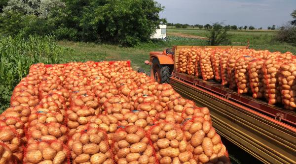 romania export cartofi congelati