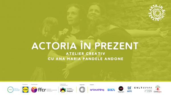 atelier creativ ana maria pandele andone timisoara