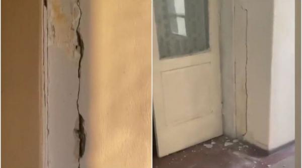 asigurati confirmare seisme13 si 14 februarie dosare dauna