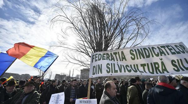 silvicultori guvern paduri grupuri interese state