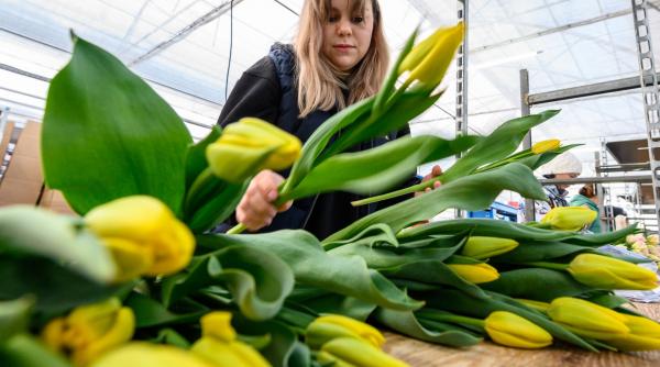 horoscop zilnic 24 februarie 2023