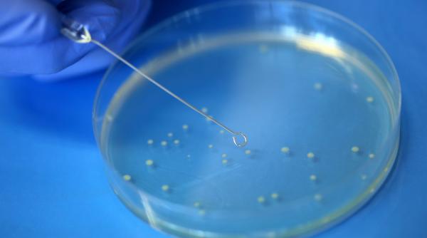 test combinat gripa covid