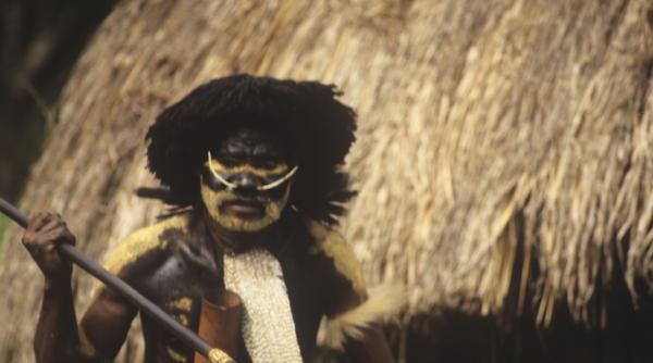 cercetatori ostatici eliberati