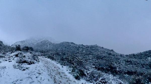 ninsoare los angeles