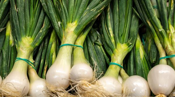 criza cepei razboi diplomatic rezerve strategice