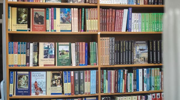 biblioteci scolare scazut constant lectura esentiala