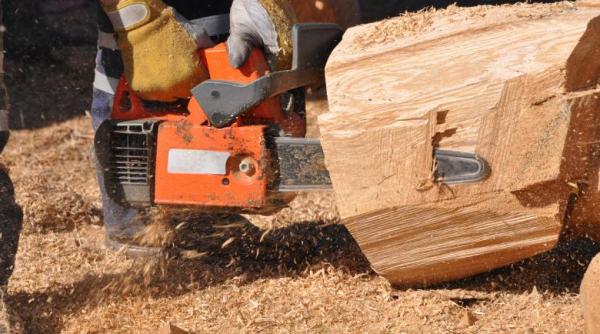 drujba cosmetizare arbusti