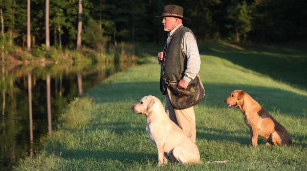 labradorii londonezi trimisi sa adulmece contrabandistii de pangolini