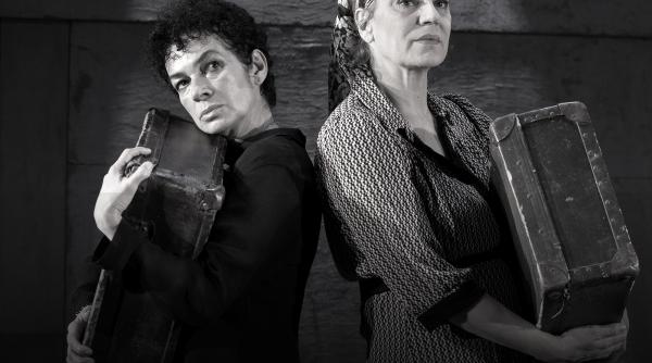 rude pierdute teatrul evreiesc