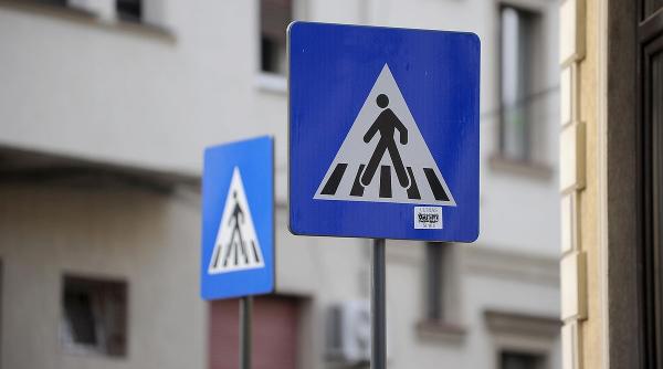 indicatoare circulatie copaci agenti rutiera